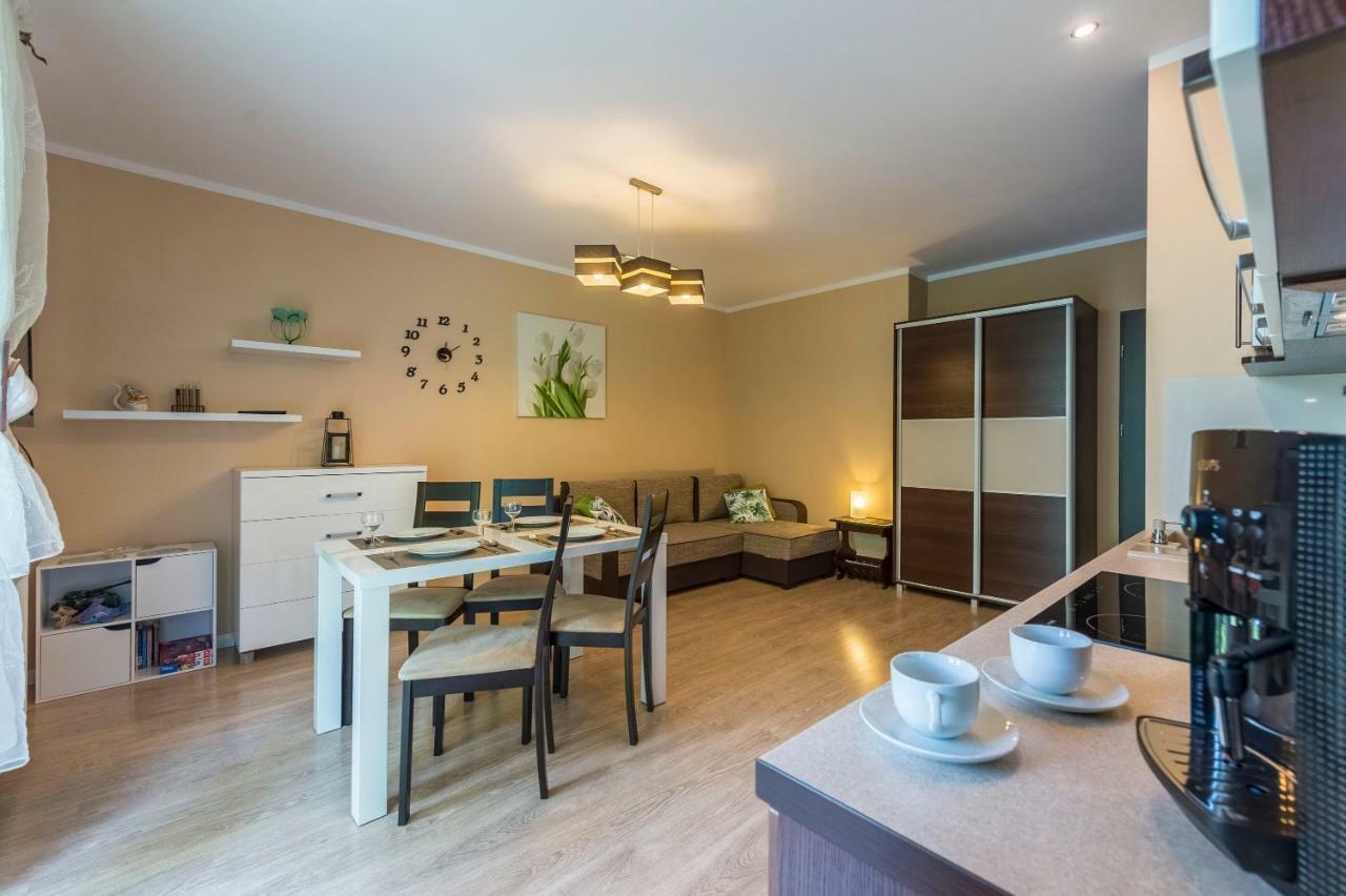 Brzozowy Zakatek - 5d Apartment Swieradow-Zdroj